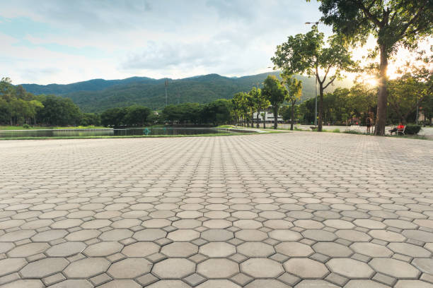 Best Driveway Pavers Near Me  in Clyde, TX